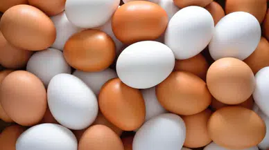 Yumurtaların tazelik kontrolü: Bozulduğunu anlamanın yolları