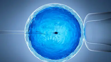 Tüp bebekte yapay zeka devrimi: Başarı oranları yükseliyor