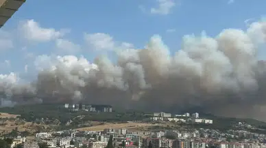 Çanakkale Sarıcaeli köyündeki orman yangınında gözaltına alınan 4 kişi serbest bırakıldı