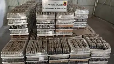 Antalya’da dev sahte alkol operasyonu: 119 bin 500 litre ele geçirildi, 7 gözaltı