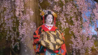 Japonya tatili hayal oldu: 800 kişilik büyük tur vurgunu