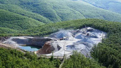 Sürdürülebilir Yaşam İçin Ormanlar mı, Madenler mi?