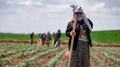 Kasım ayına kadar 470 bin üreticiye 46,5 milyar liralık ödeme gerçekleştirilecek