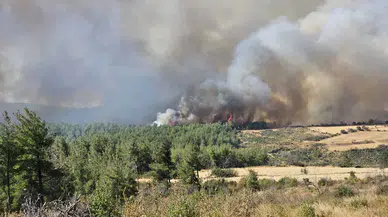 Çanakkale Gelibolu’da orman yangını: Havadan ve karadan müdahale sürüyor