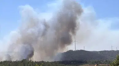 Çanakkale Salihler Barajı yakınlarında orman yangını üç köye ilerliyor