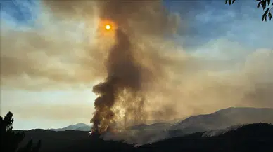 İspanya ve Portekiz’de orman yangınları: Binlerce kişi tahliye edildi, 42 bin hektar yandı