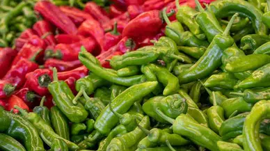 Biberin Cinsiyeti Var mı? Lob Sayısının Gerçek Anlamı Nedir?