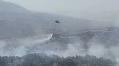 Şırnak Balveren’de orman yangını: Havadan ve karadan müdahale sürüyor