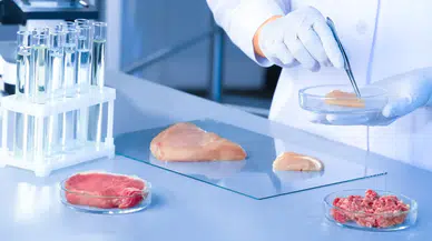 Bakan İbrahim Yumaklı: “İklim Kanunu’nda yapay etle ilgili tek kelime yok”