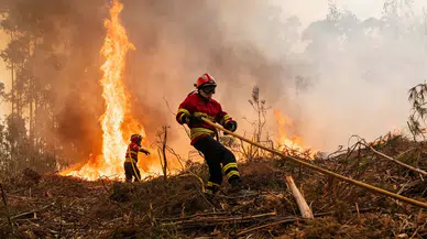 İspanya ve Portekiz'de orman yangınları olağan hızıyla devam ediyor