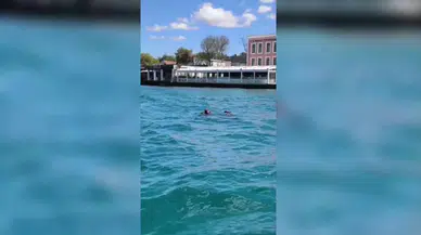 Boğaziçi Kıtalararası Yüzme Yarışı’nda Rus antrenör kayboldu