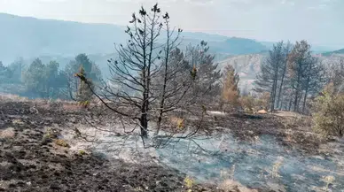 Çorum'daki orman yangına müdahale devam ediyor
