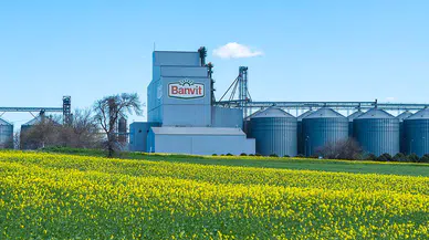 Banvit’e Rekabet Kurulu’ndan 947,3 milyon TL ceza