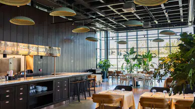 30 büyükşehirde taksi, dolmuş ve otel-lokanta işletmelerinde vergi sistemi değişiyor!