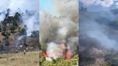Konya, Çanakkale ve Antalya’da eş zamanlı orman yangınları