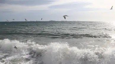 Marmara kıyılarında büyük tehlike: 1,6 milyon kişi risk altında