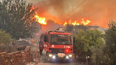Alanya, Köyceğiz ve Milas’ta orman yangınları: Müdahale sürüyor