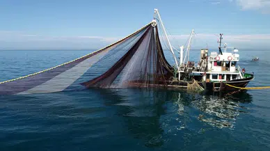 2025-2026 balık av sezonu başladı balıkçılar vira dedi