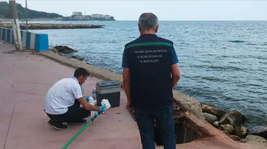 Yalova'da çevre kirliliğine sebep olan 2 belediyeye bakanlık 4 milyon TL ceza uyguladı