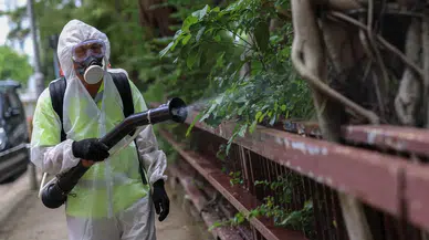 Çin’in Ciangmın kentinde 1714 Chikungunya ateşi vakası tespit edildi
