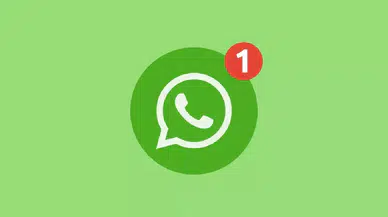 WhatsApp’a yepyeni özellikler geldi: Canlı fotoğraflar, çıkartmalar ve grup arama kolaylığı