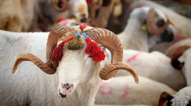 2026 Kurban Bayramı ne zaman? İşte tarih ve tatil süresi