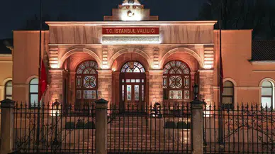 İstanbul Valiliği'nden kuduz iddialarına yalanlama: "Son vaka 2007'de görüldü"