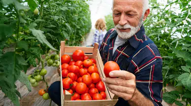 Bakan Yumaklı duyurdu: Çiftçilere 338,3 milyon liralık tarımsal destek ödemesi bugün hesaplarda