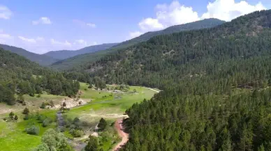 21 ilde bazı alanlar orman sınırları dışına çıkarıldı