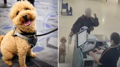 Uçağa binmek için köpeğini havalimanında terk eden kadın tutuklandı