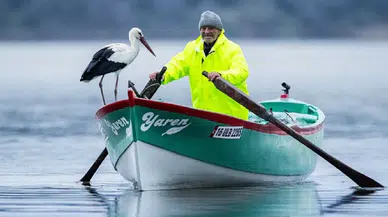 Yaren Leylek 15. yılında da göçten döndü