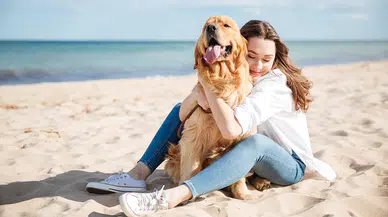 İnsanlığın en eski dostluğu: Köpeklerin evcilleşme tarihi 5 bin yıl erkene çekildi