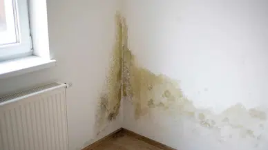 Evde rutubet ve nem nasıl önlenir: Kesin çözüm önerileri