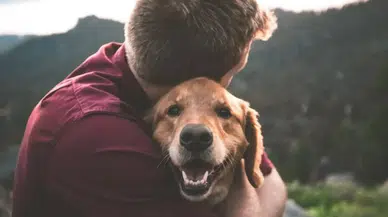 Köpek sahipleri kalp krizine karşı daha korumalı: Araştırma ölüm riskini düşürdüğünü gösteriyor