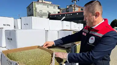 Bayram öncesi büyük baklava vurgunu önlendi: 2 ton kanserojen fıstık ele geçirildi