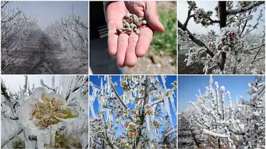 Meteoroloji’den 42 il için sarı kod: Sağanak, kar ve zirai don uyarısı