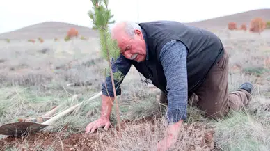 Bozkırda yükselen bir doğa mucizesi: 12 bin fidanla gelen hayat