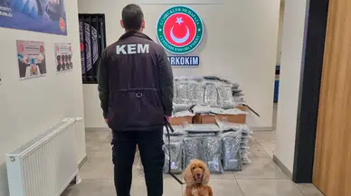 Gümrük Muhafaza ekiplerinden zehir tacirlerine darbe: 420 kilogram esrar ele geçirildi