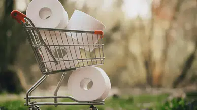 Selpak ve Solo’nun üreticisi Sanipak satılıyor