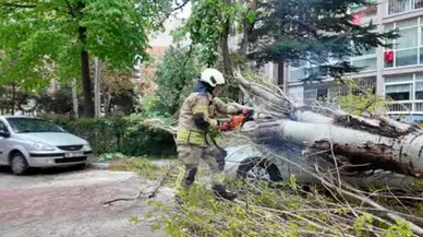 İstanbul’da poyraz etkili oldu: Beylikdüzü’nde devrilen ağaç otomobili ezdi