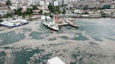 Marmara Denizi’nde mikroplastik kirliliği kritik seviyeye ulaştı