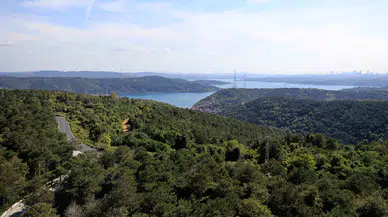 İstanbul'da orman yangınlarına karşı dev tedbir: Ormanlık alanlara girişler yasaklandı