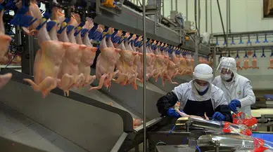 Beyaz et soruşturmasında gözaltına alınan 29 kişi serbest bırakıldı