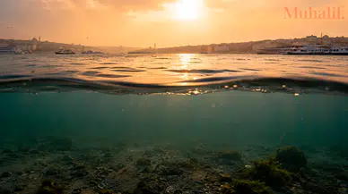 Türkiye 55 yılda 1,7 derece ısındı: En büyük deniz suyu sıcaklık artışı Marmara’da
