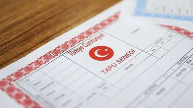 Yargıtay'dan emsal karar: Dedesine bakmayan torunun tapusu iptal edildi