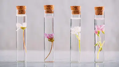 Aromaterapi ürünlerinin satışında yeni dönem: Sadece eczanelerde satılabilecek