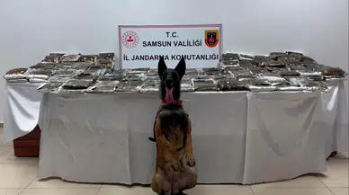 Samsun'da uyuşturucu operasyonu: TIR'a zulalanmış 132 kilo esrar yakalandı