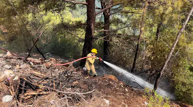 Yunanistan'ın Salamina Adası'nda orman yangını: 2 kişi hayatını kaybetti, 9 yaralı