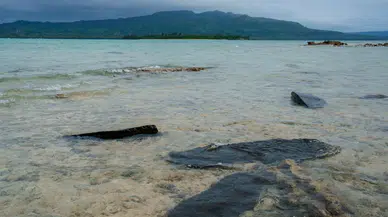 Vanuatu'da feribot faciası: Onlarca yolcudan haber alınamıyor