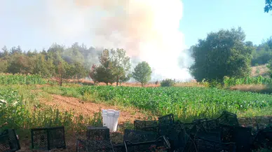 Bursa Kestel'de ormanlık alanda alevler yükseldi